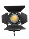 Farseeing FS-D09 14W Camera Light